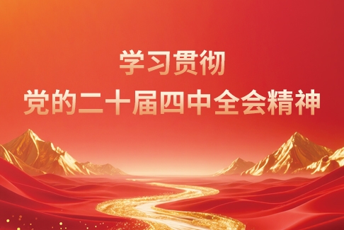 进建贯彻党的二十届四中全会心灵