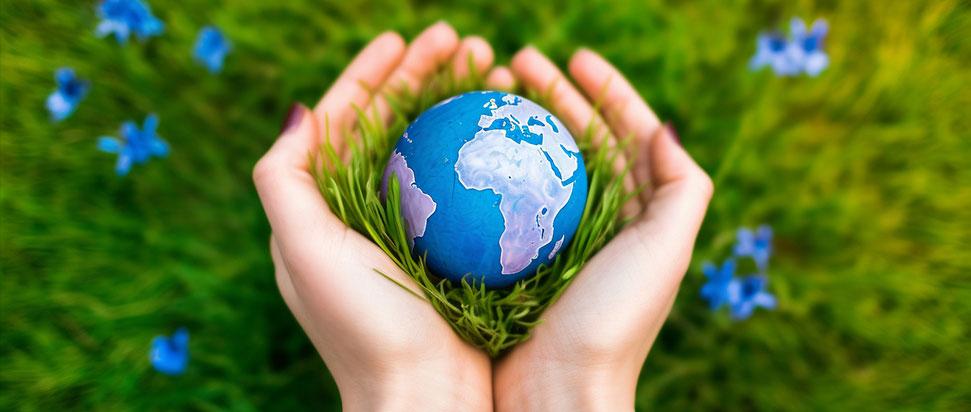 365英国上市公司(集团)官方网站-Global Platform